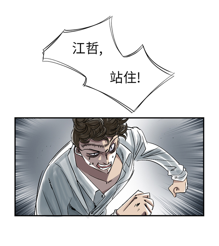 都市兽医言情漫画,第94章：永不结束的战争(大结局)2图