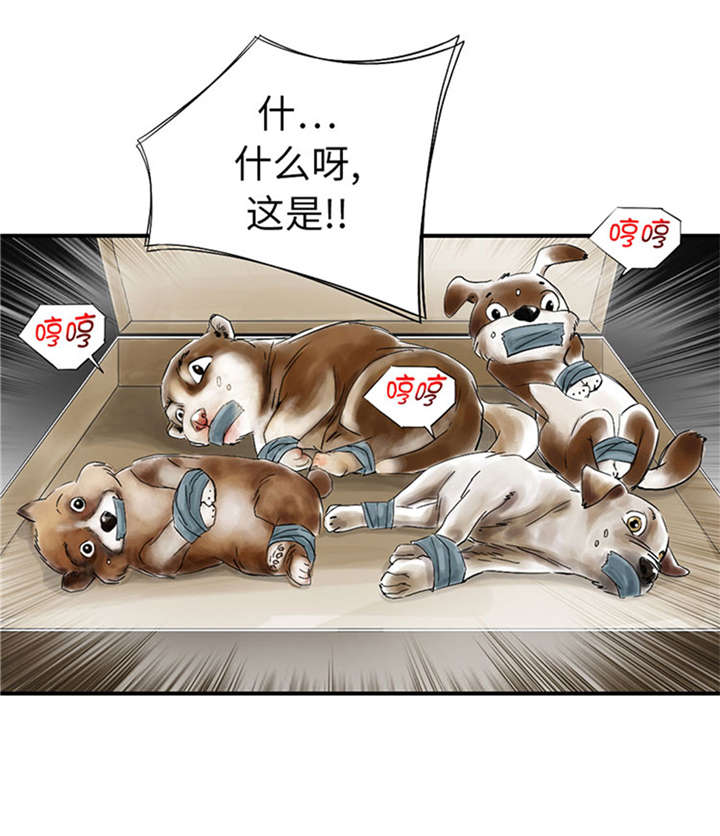 都市兽王 小说漫画,第52章： 惹恼了2图