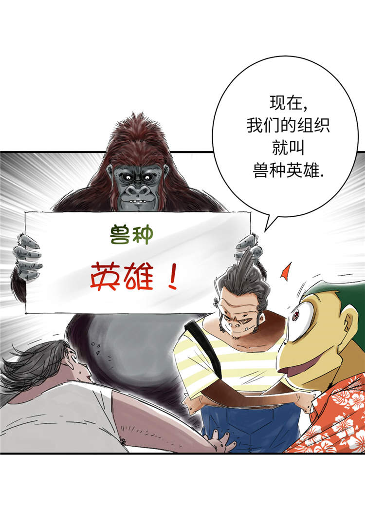 都市宠兽类小说漫画,第38章：炊事兵1图