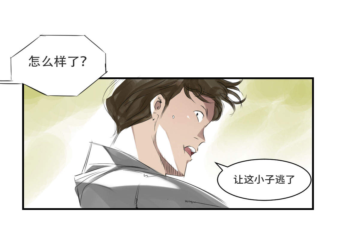 都市兽语漫画,第11章：消失的动物（二）1图