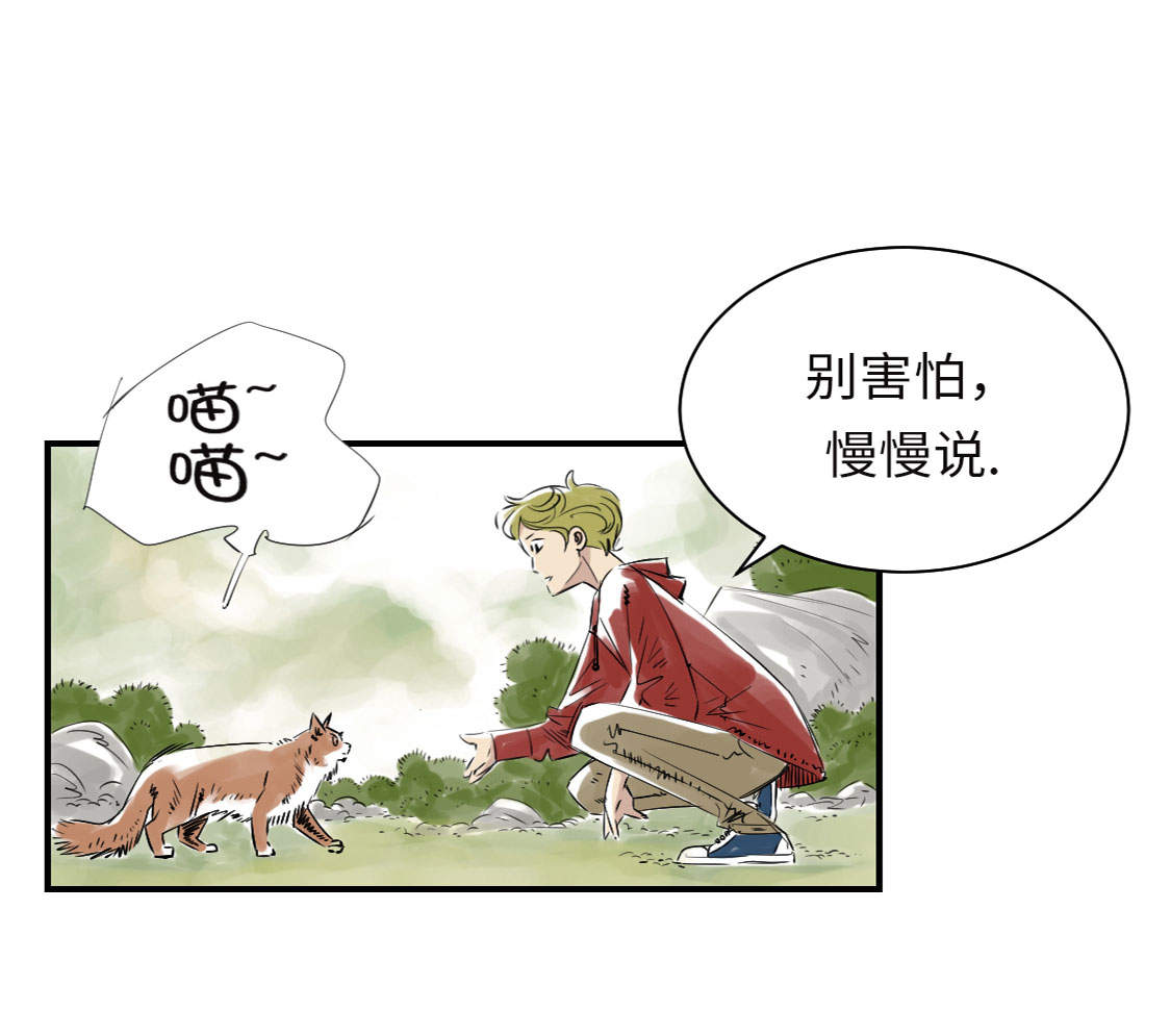 都市兽宠流小说排行榜漫画,第6章： 阴谋的诞生2图