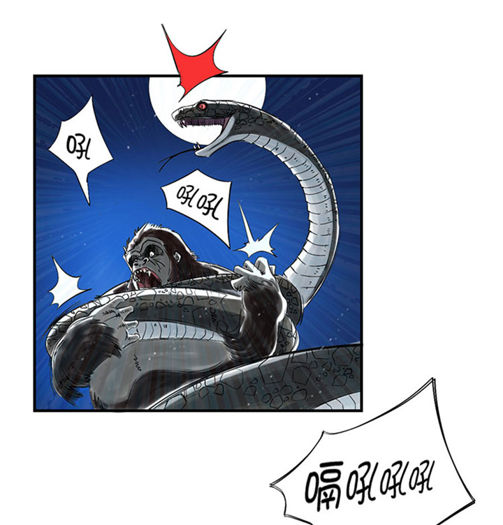 都市兽神下载漫画,第59章：撕烂你的嘴1图