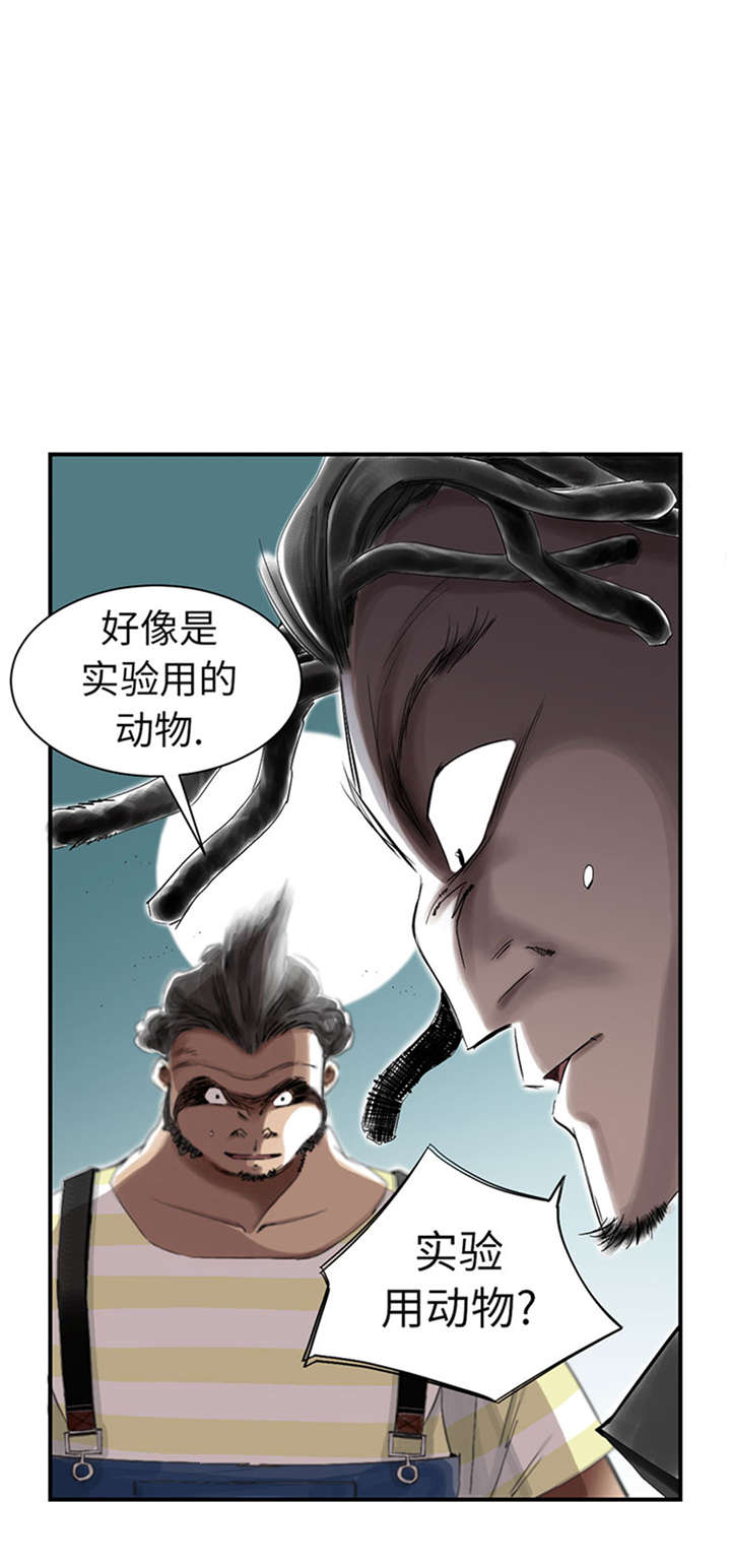 种夫都市攻略漫画,第52章： 惹恼了1图