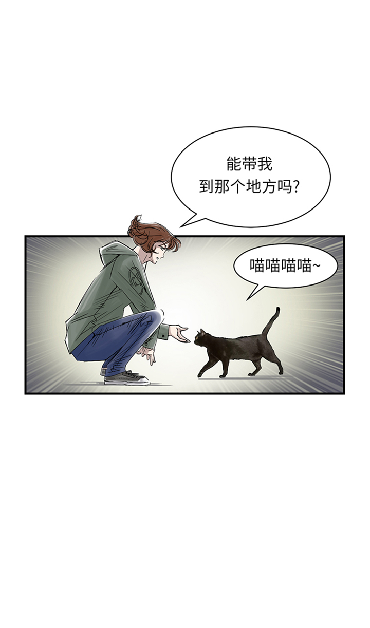 都市兽医行医玩美一级小说漫画,第86章：去哪儿了!1图