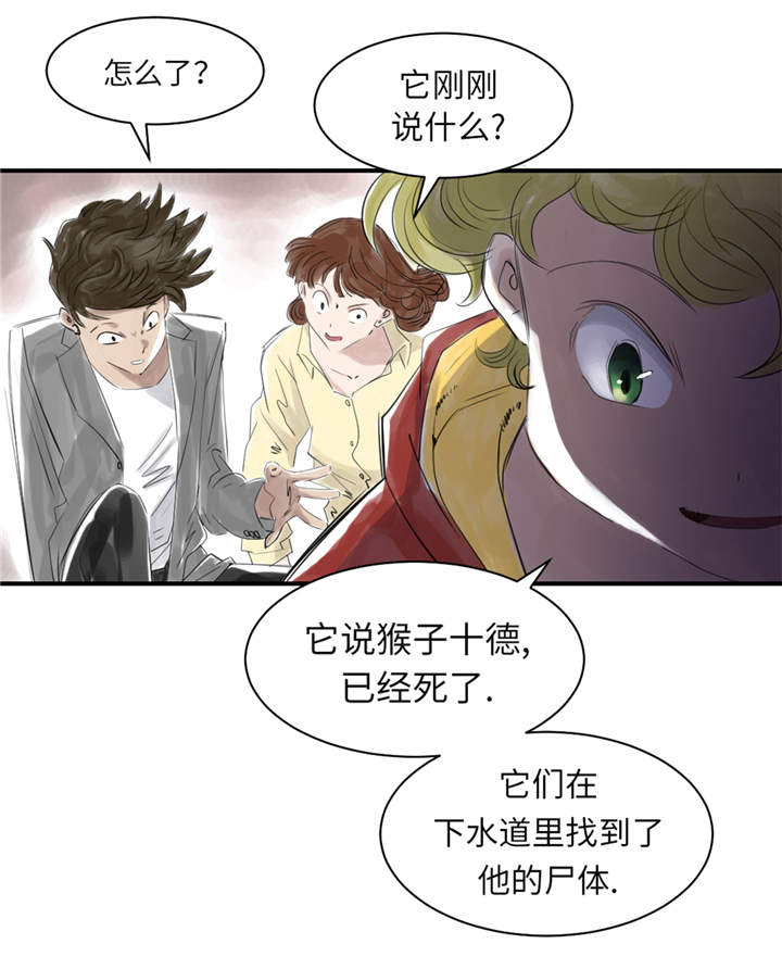 都市兽种百科漫画,第24章：持续的杀人事件 1图