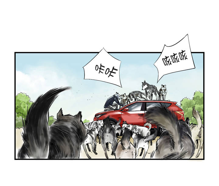 都市沉浮漫画,第37章：赌上警察生涯1图