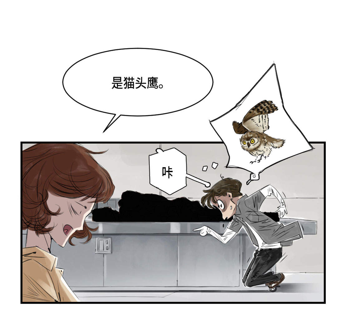 都市仙尊洛尘漫画,第2章：特别行动队1图