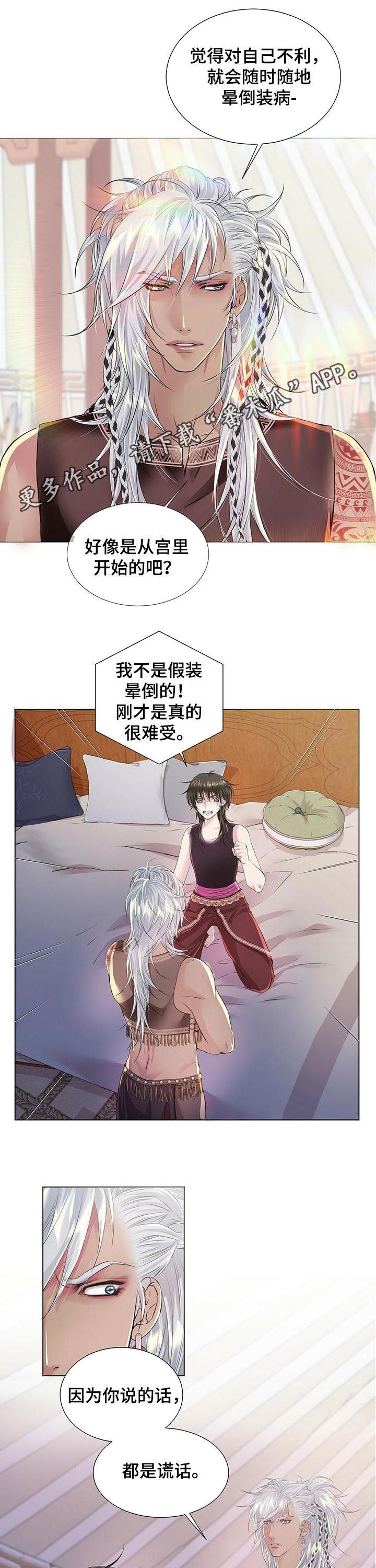 狼王子漫画,第38章：宝盒1图