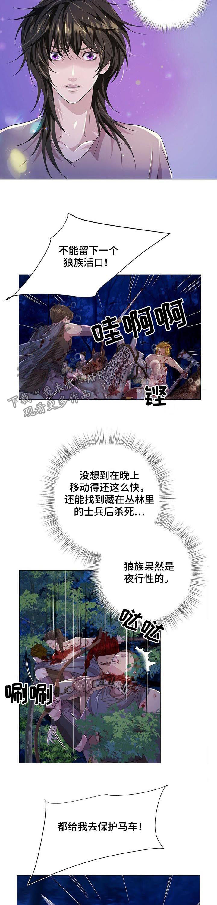 狼王子电影完整版漫画,第76章：攻击1图