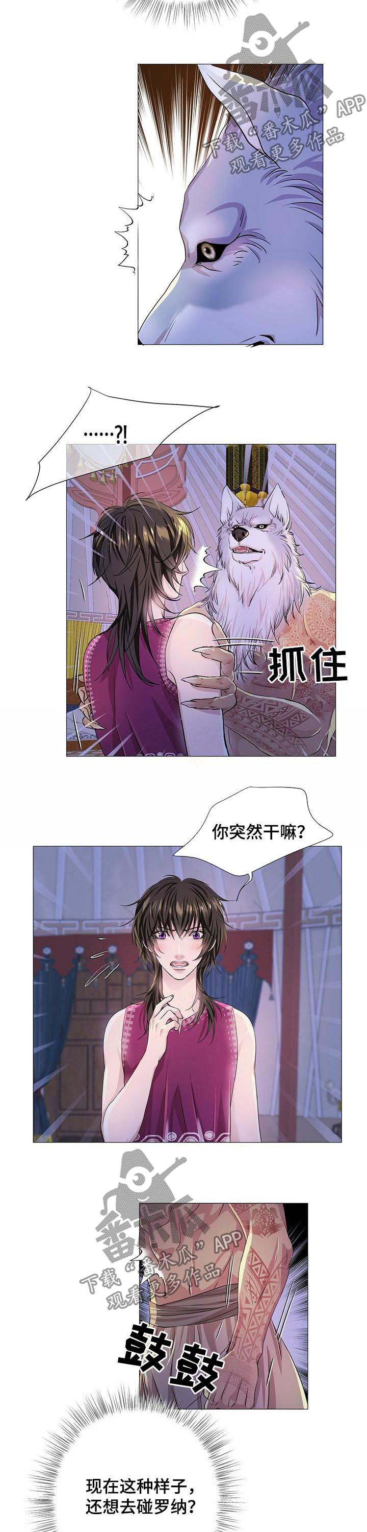 狼王子漫画,第60章：不抗拒2图