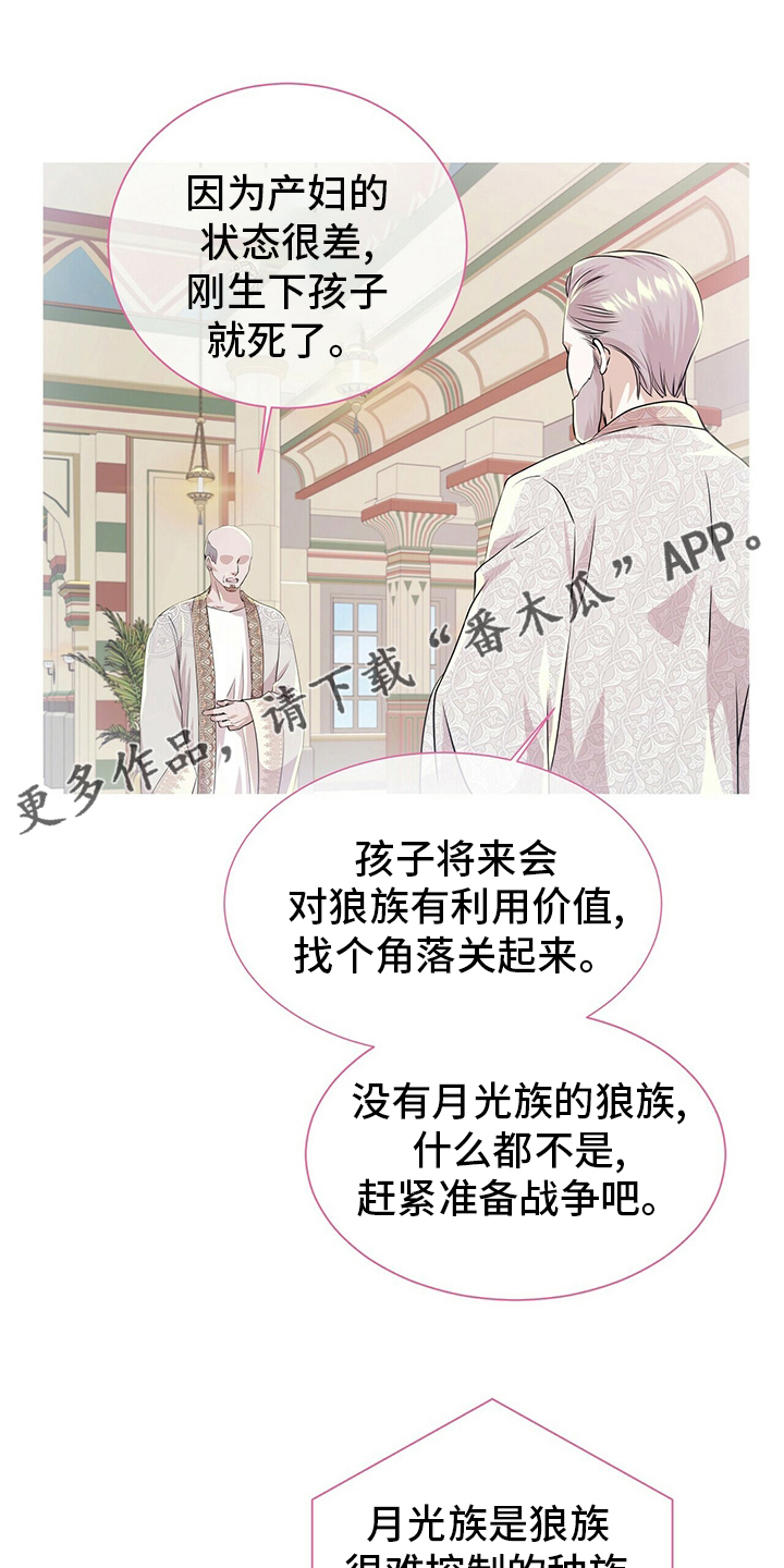 狼王子漫画,第113章：【第二季】不能相信任何人1图