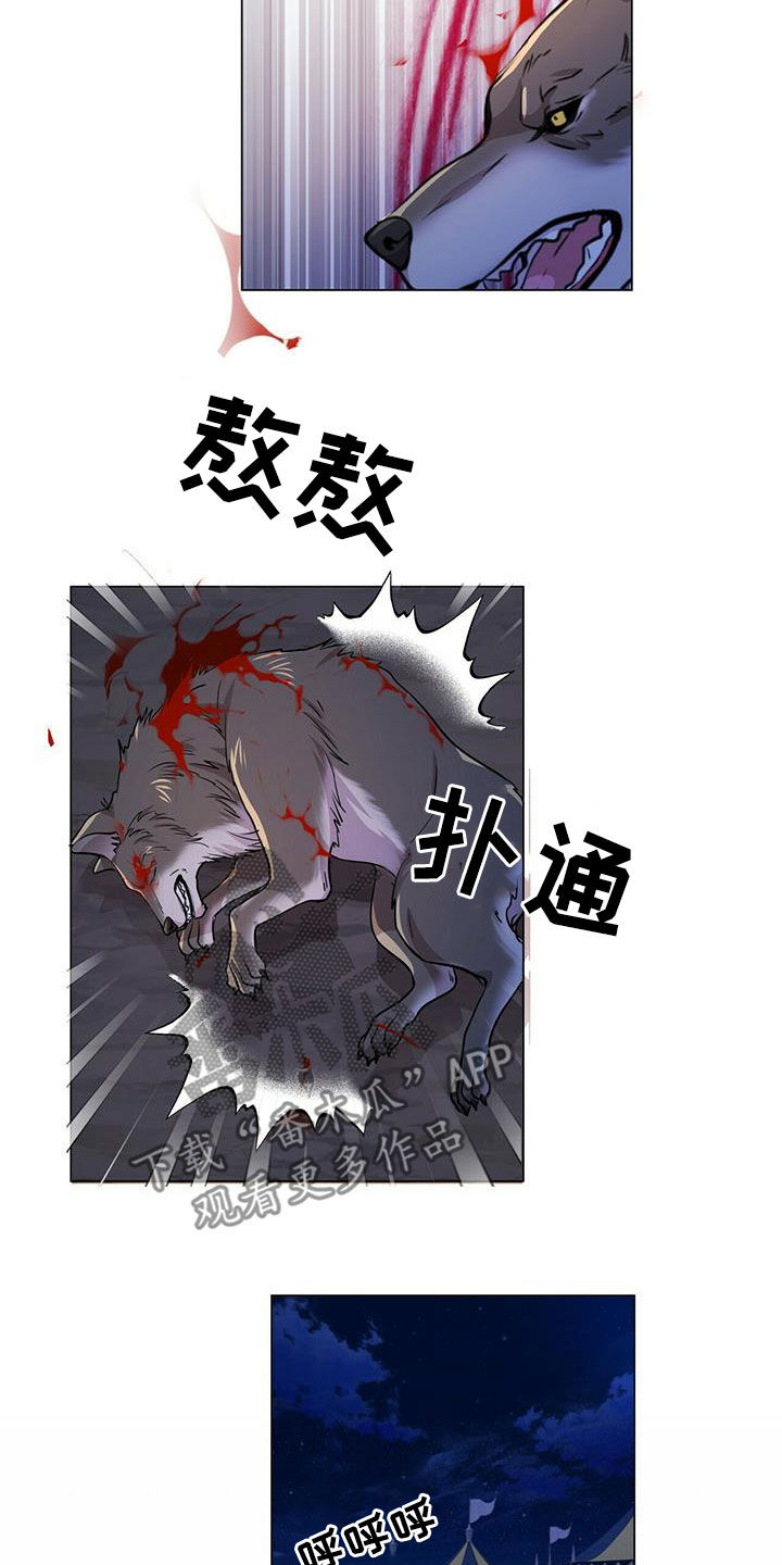 狼王的皎皎白月光漫画,第154章：【第二季】挡箭2图