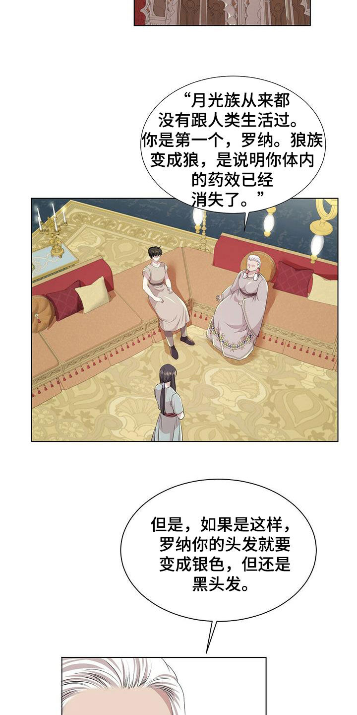 狼王子电视剧全集高清免费观看漫画,第149章：【第二季】银发2图