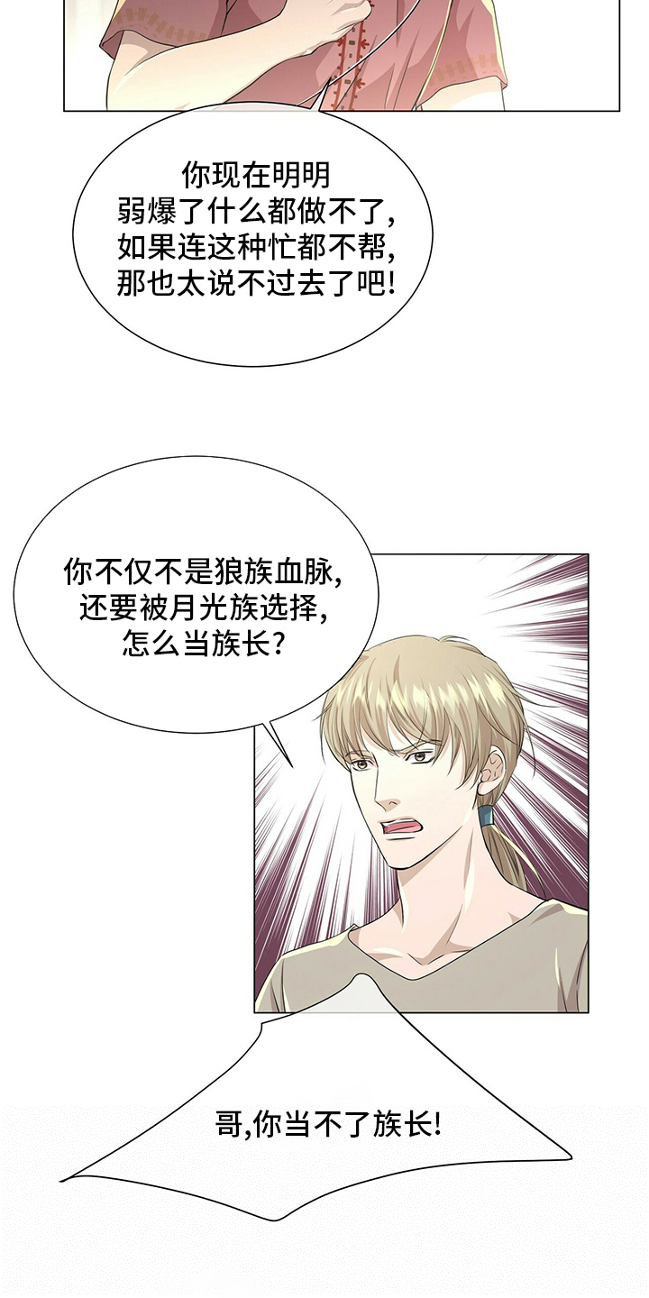 狼王子电视剧40集可否按顺序播放漫画,第128章：【第二季】准备行动2图