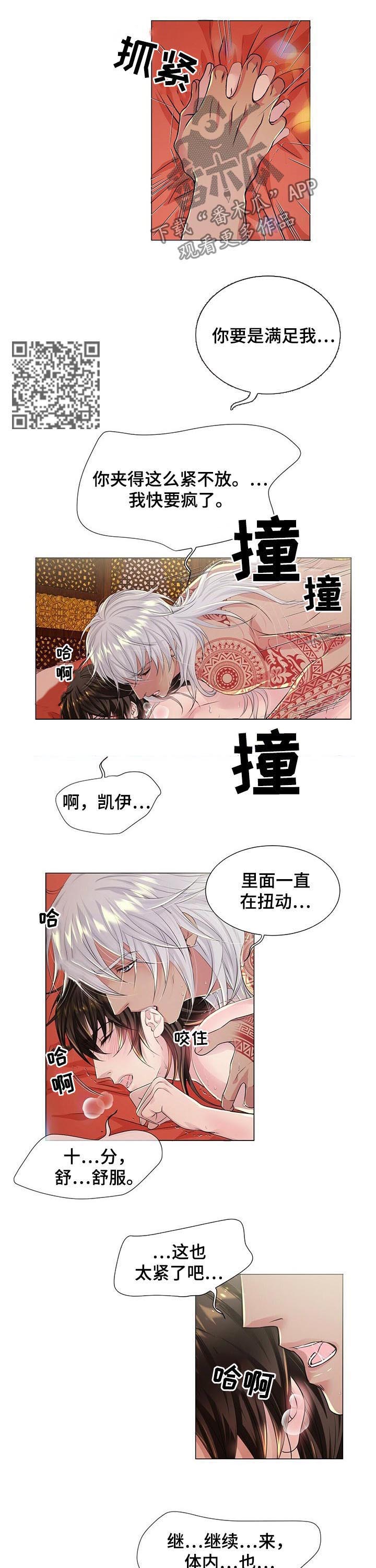 狼王子电视剧免费观看全部漫画,第40章：赶紧离开1图