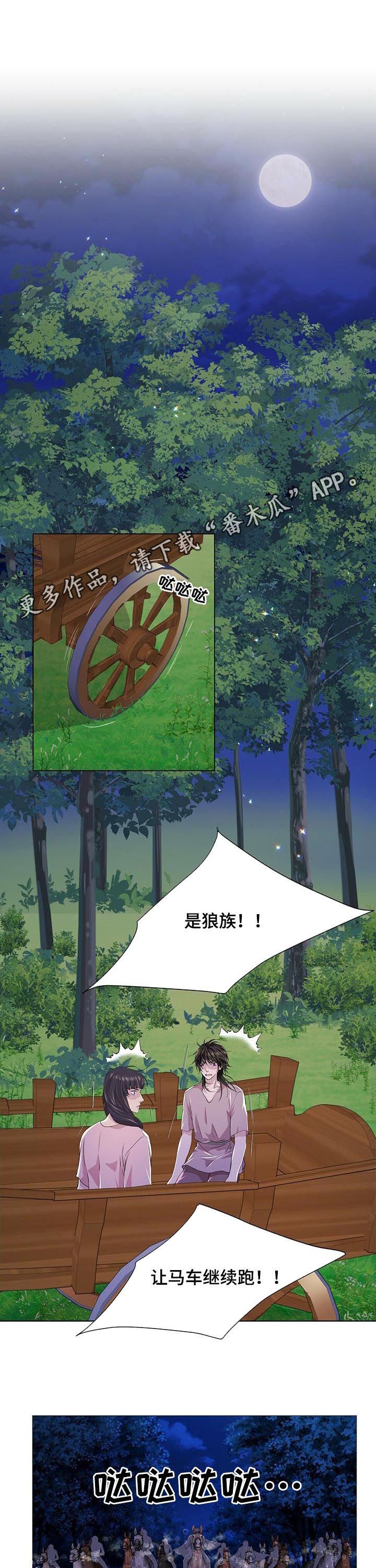 狼王子全片漫画,第76章：攻击1图