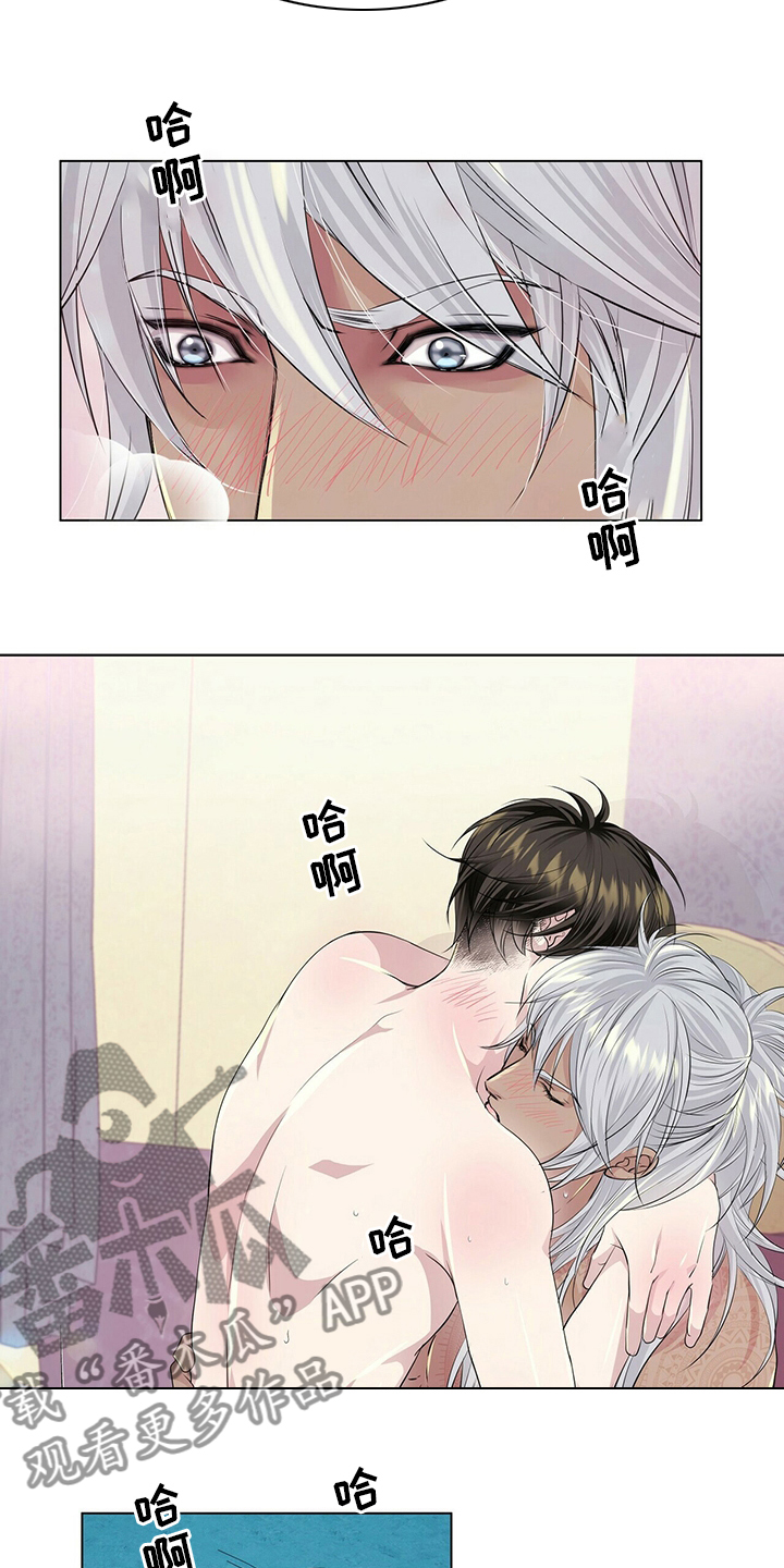 狼王子漫画,第122章：【第二季】行动2图