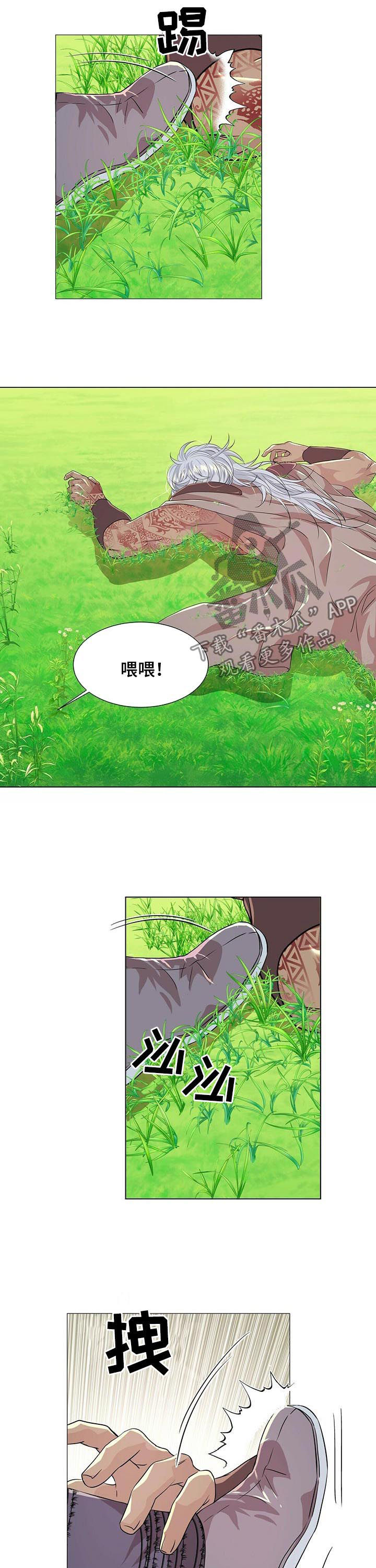 狼王子电视剧40集可否按顺序播放漫画,第73章：未婚夫2图