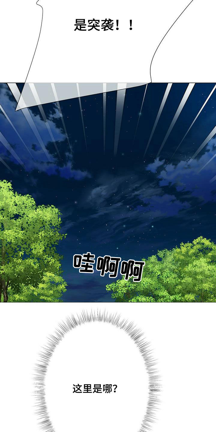 狼王子电视剧全集高清免费观看漫画,第151章：【第二季】追捕2图