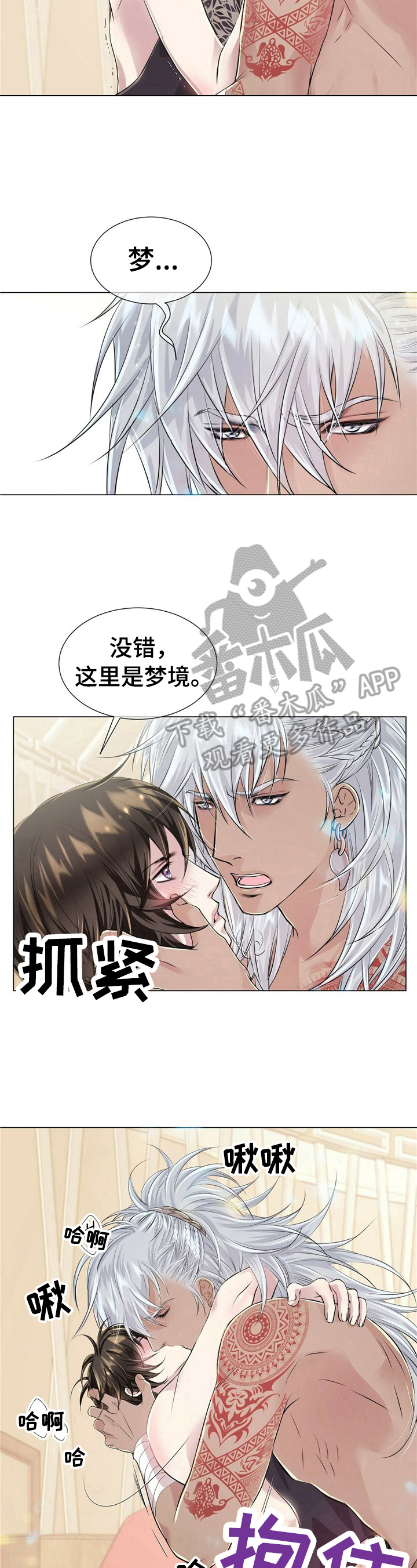 狼王子免费观看完整版漫画,第15章：似梦1图