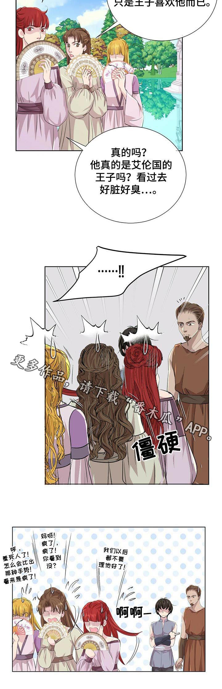 狼王子电视剧全集高清免费观看漫画,第77章：新来的后宫2图