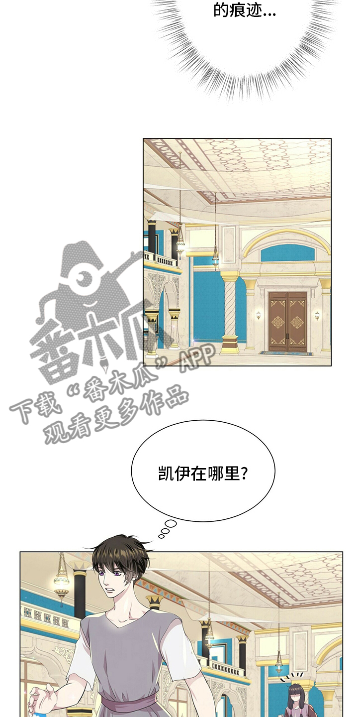 狼王子电视剧全集高清免费观看漫画,第128章：【第二季】准备行动1图