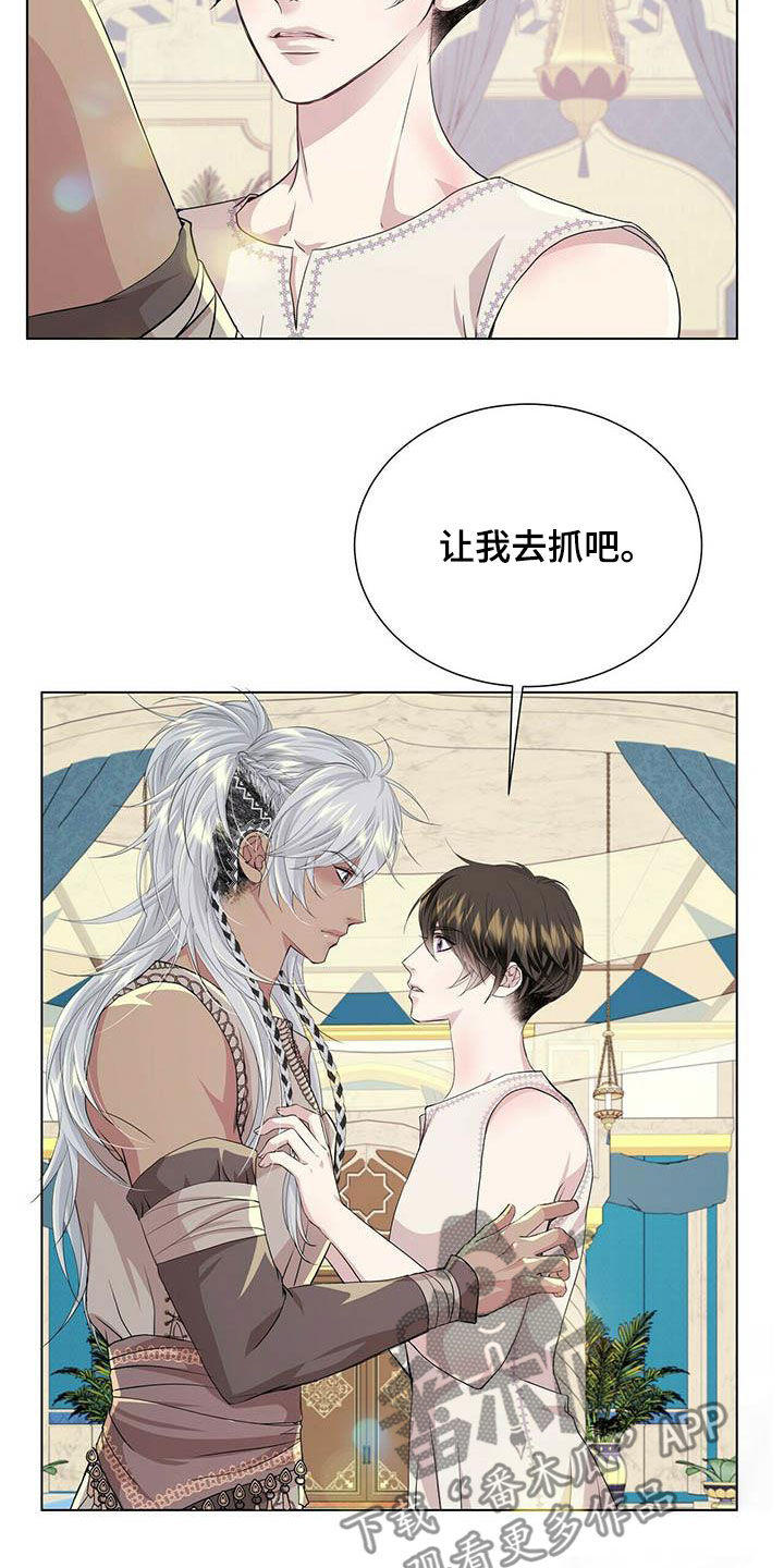 狼王子免费观看完整版漫画,第141章：【第二季】闪躲2图