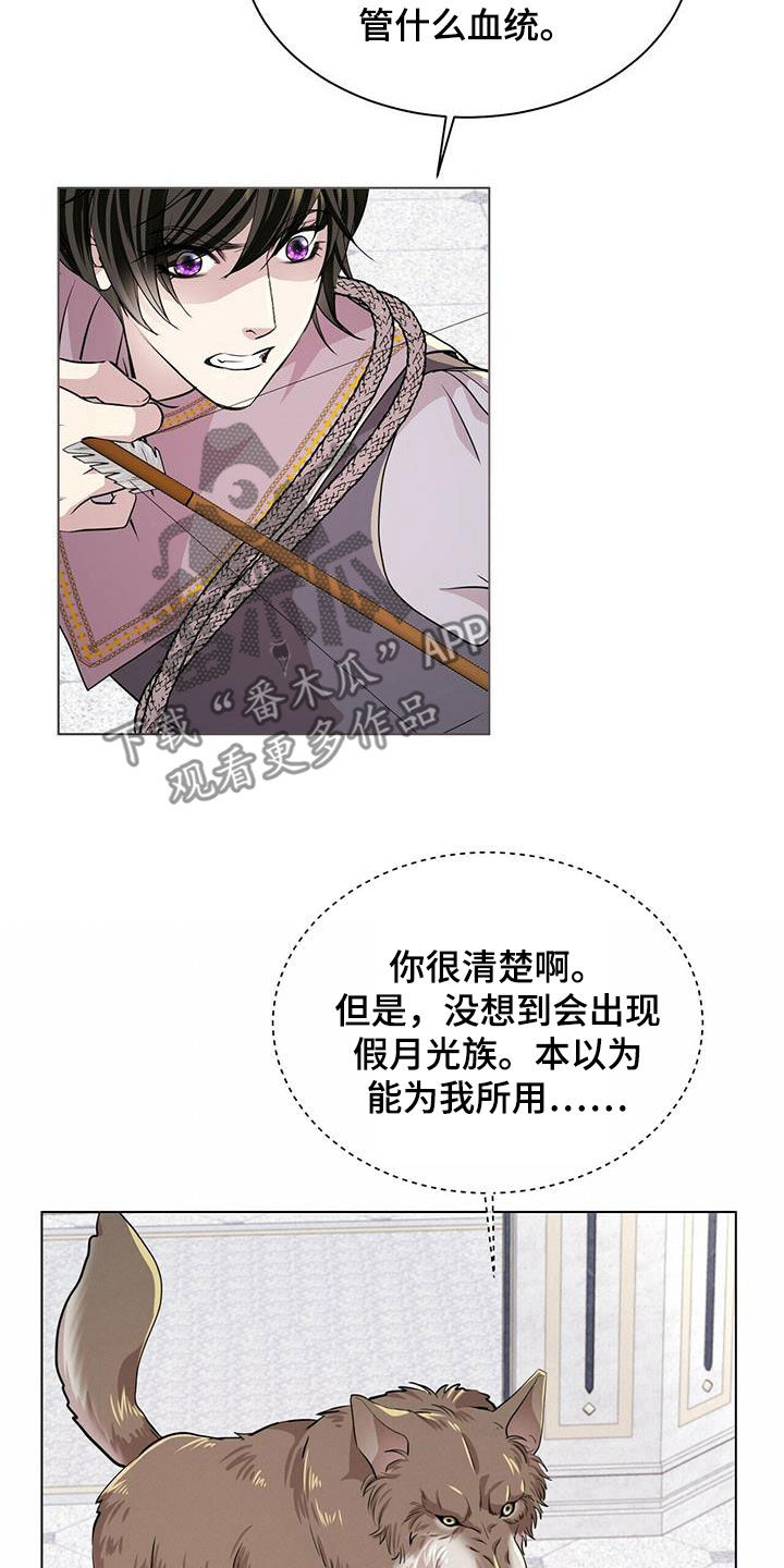 狼王子电视剧全集高清免费观看漫画,第139章：【第二季】质问2图