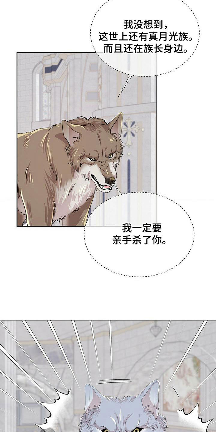 狼王子电视剧全集高清免费观看漫画,第139章：【第二季】质问1图