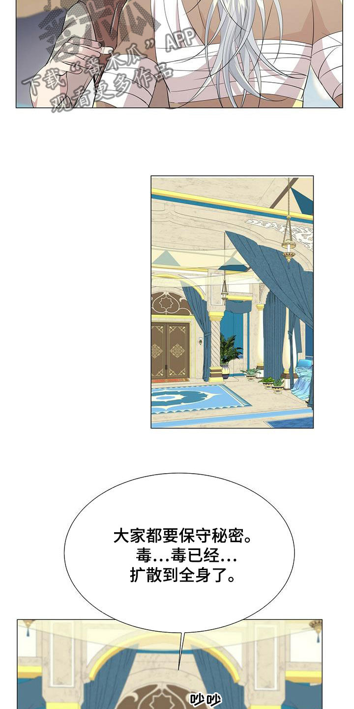 狼王子电视剧全集高清免费观看漫画,第155章：【第二季】毒素扩散2图