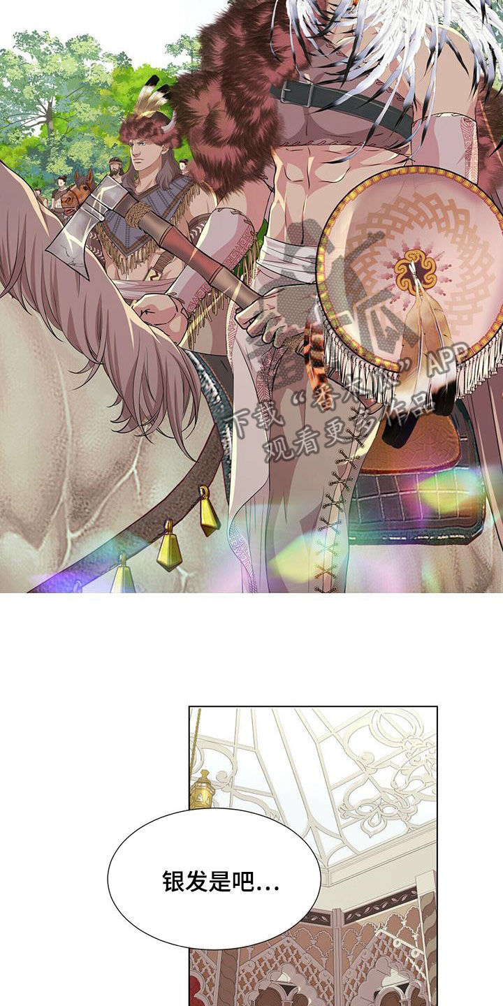 狼王子电视剧全集高清免费观看漫画,第149章：【第二季】银发1图