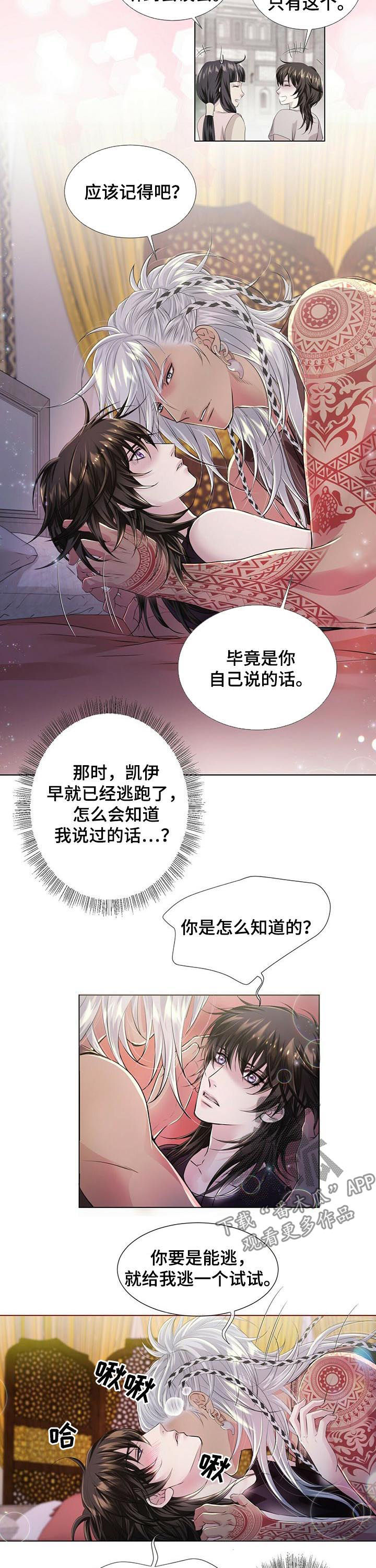 狼王子电视剧全集高清免费观看漫画,第38章：宝盒2图