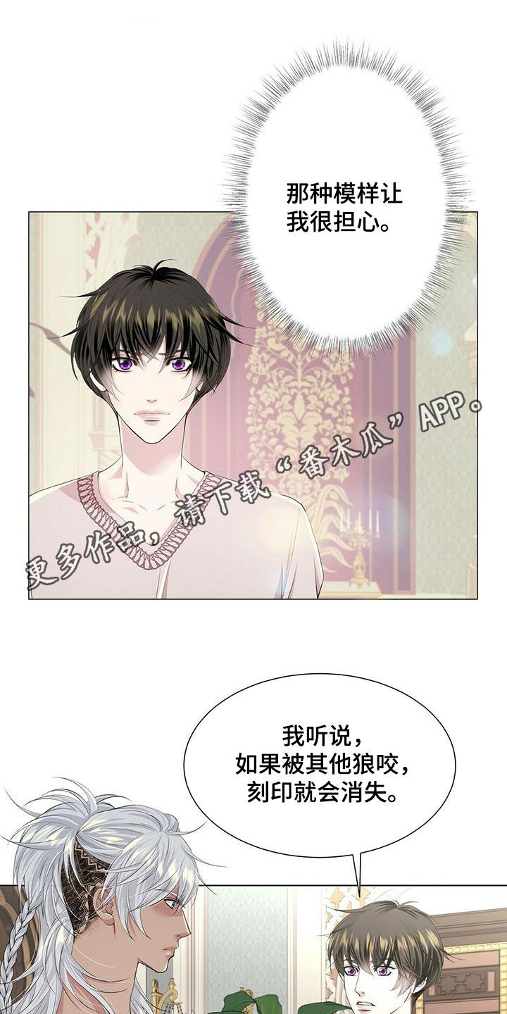 狼王子漫画,第143章：【第二季】不安的来源1图