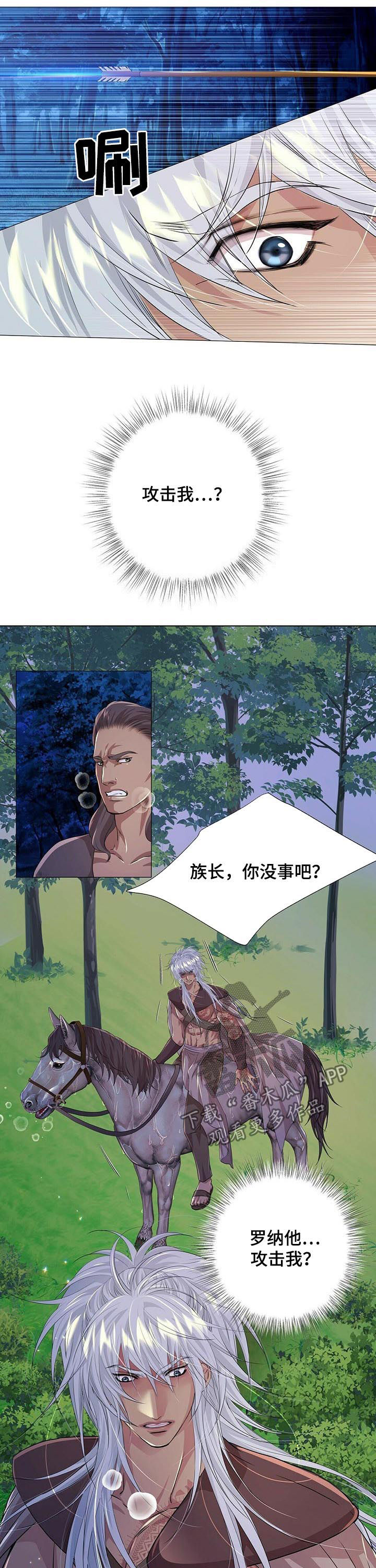 狼王子漫画,第76章：攻击2图