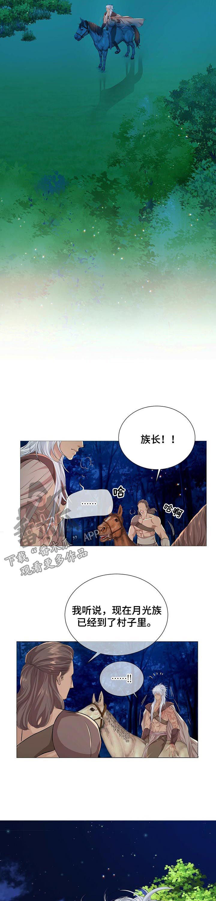 狼王子漫画,第77章：新来的后宫2图