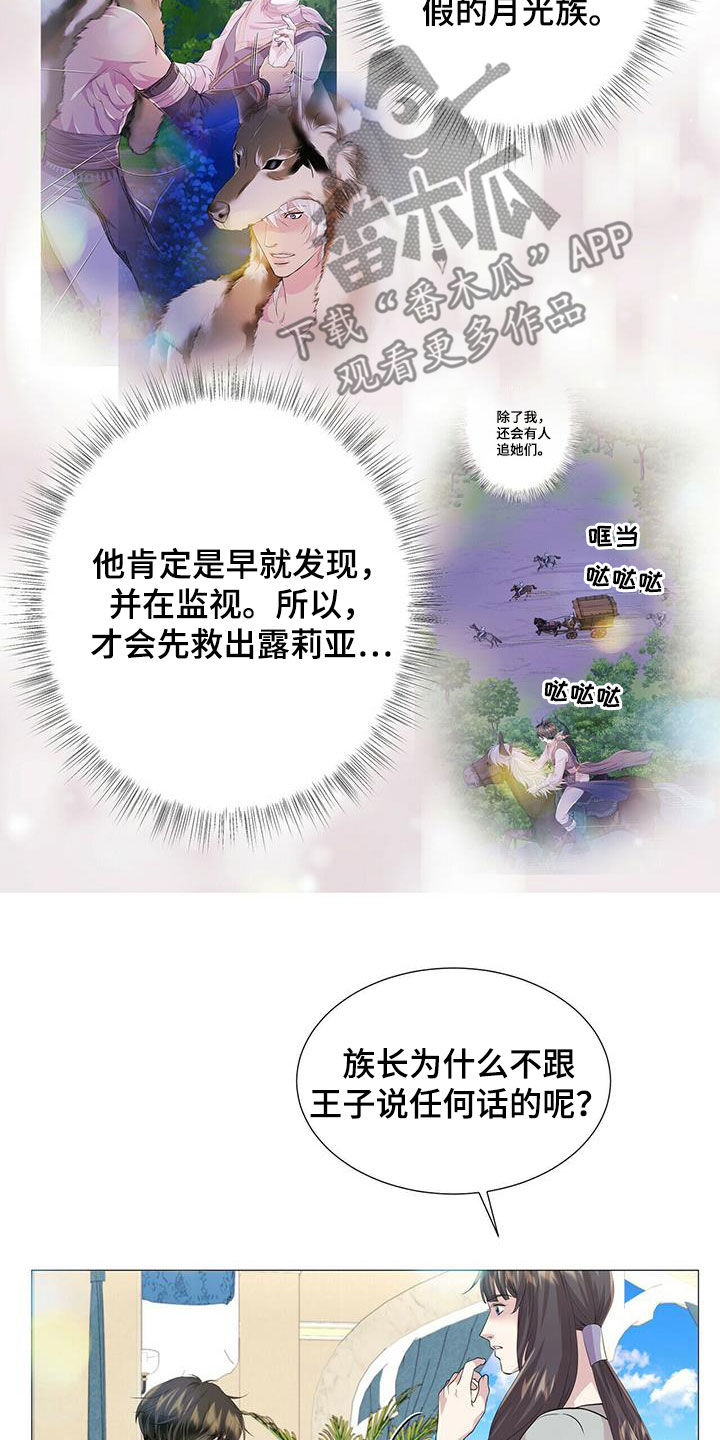 狼王子免费观看全集漫画,第149章：【第二季】银发2图