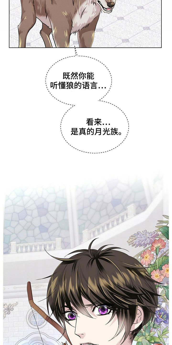 狼王子电视剧全集高清免费观看漫画,第139章：【第二季】质问1图