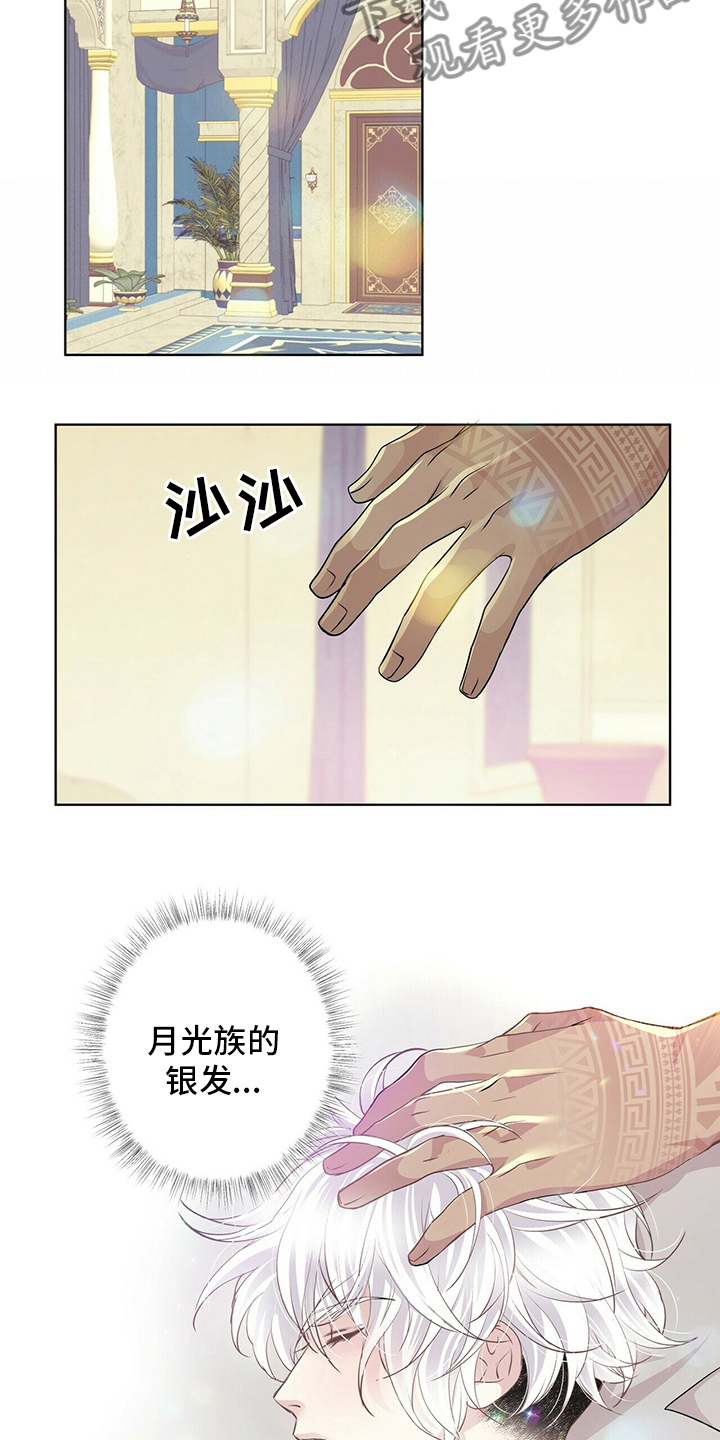 狼王子电视剧全集高清免费观看漫画,第117章：【第二季】变化1图