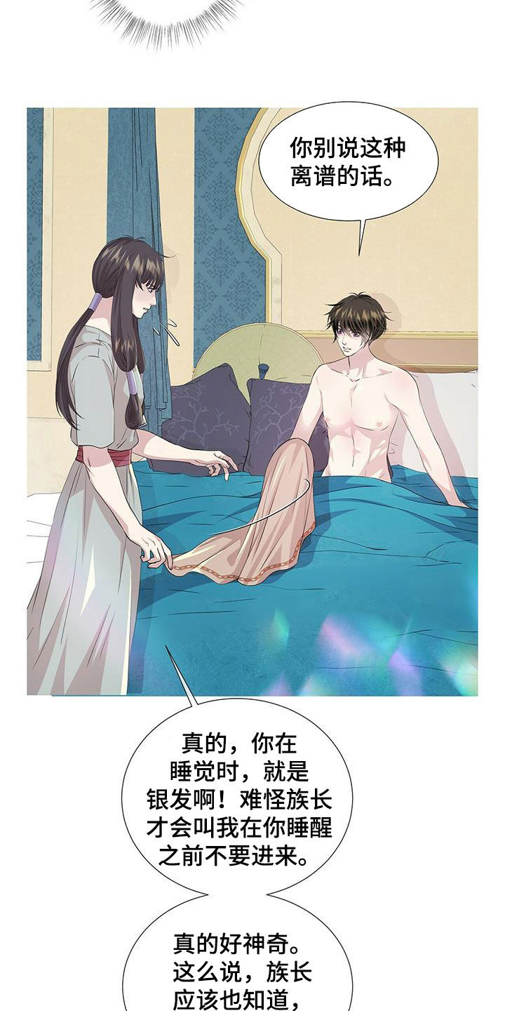 狼王的皎皎白月光漫画,第149章：【第二季】银发1图