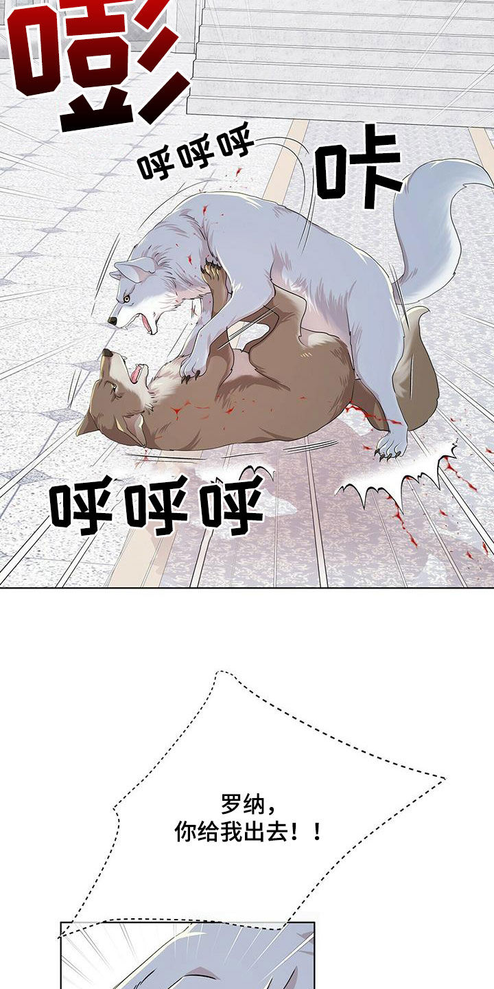 狼王子电视剧全集高清免费观看漫画,第140章：【第二季】没话可说1图