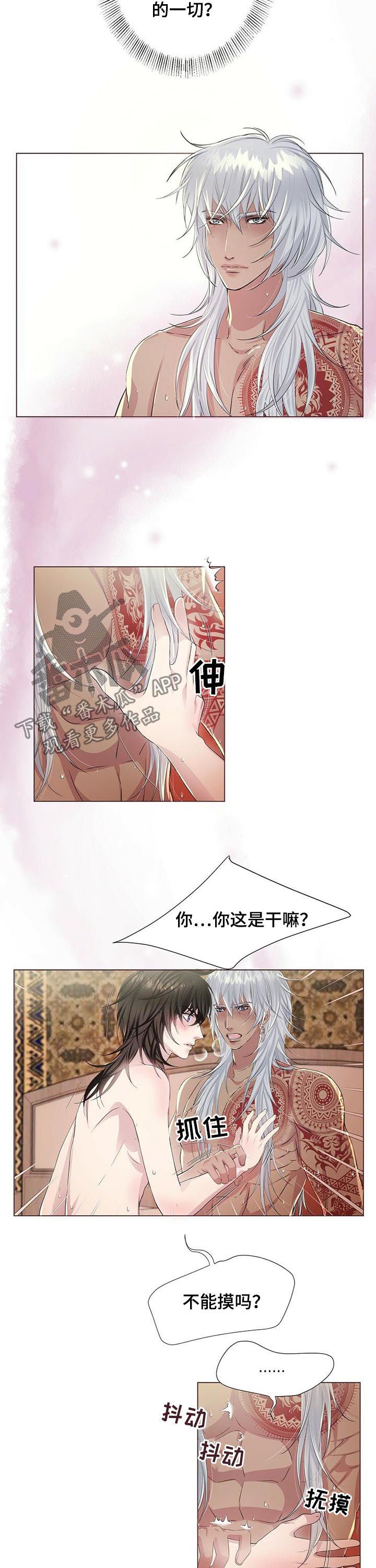 狼王子漫画,第42章：等到天亮2图