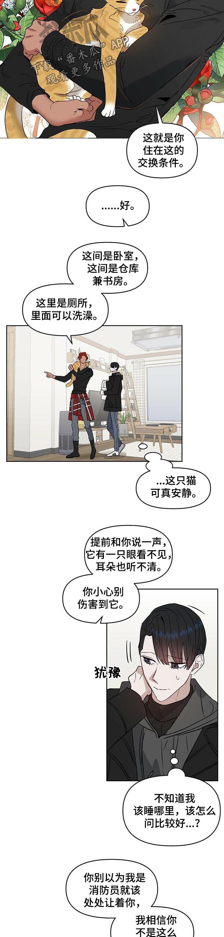 变异信息素漫画,第70章：封面人物2图