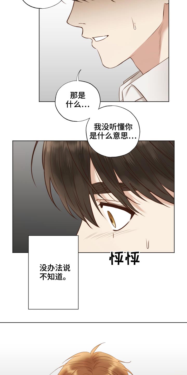 伪艺术家作画漫画,第65章：实话2图