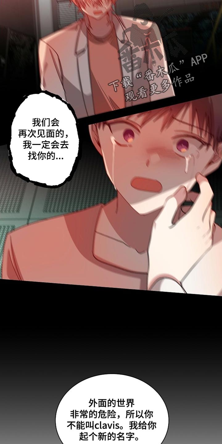 罪域纹身漫画,第69章：受罚1图