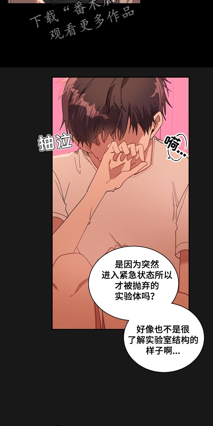 罪域纹身漫画,第66章：快点逃跑吧1图