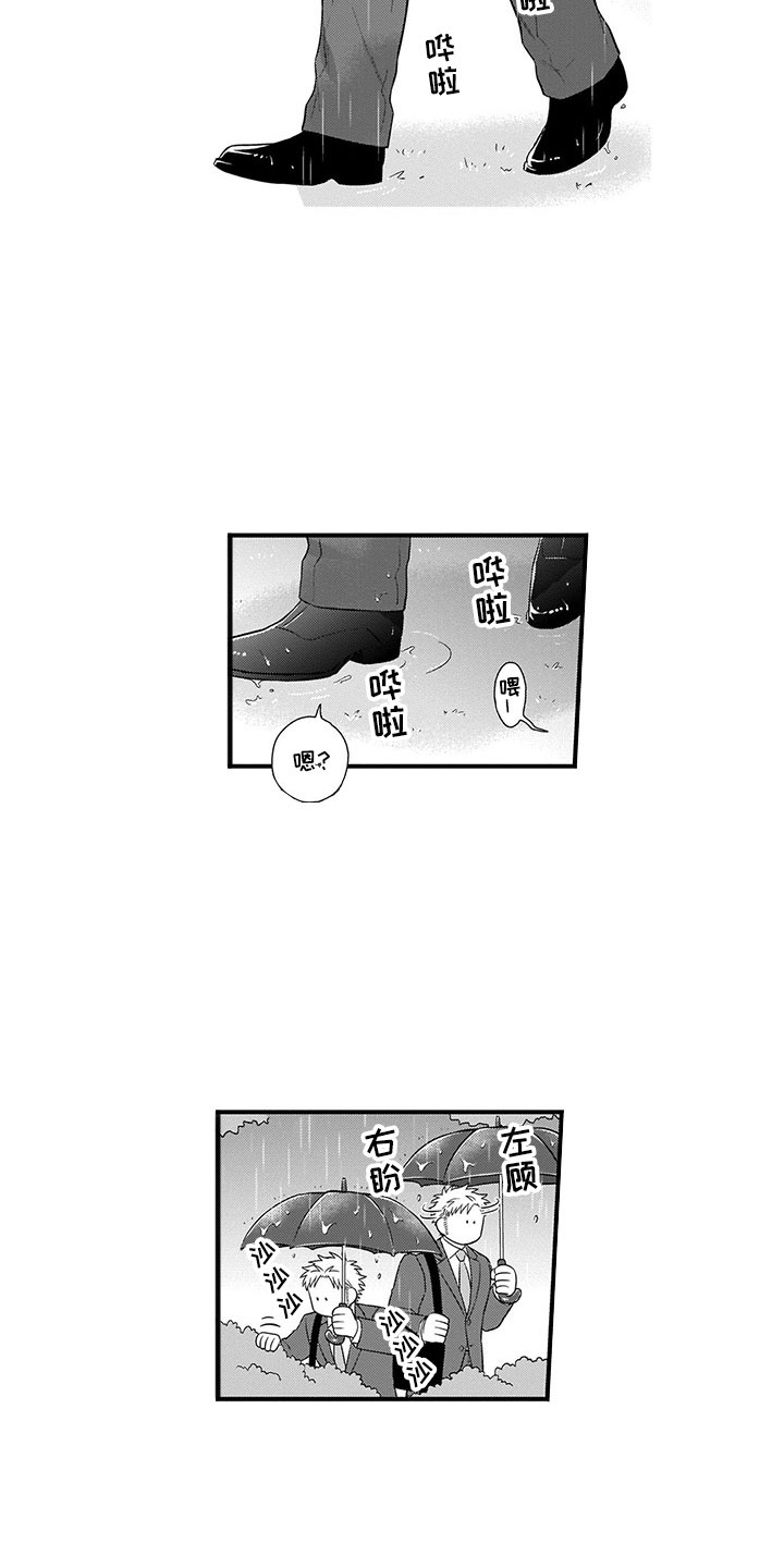 取向狙击漫画,第22章：猫咪2图