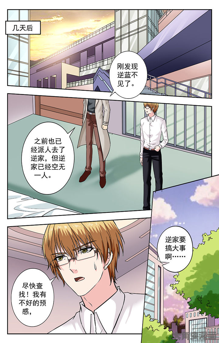 我的男神保镖电视剧免费观看漫画,第263章：2图