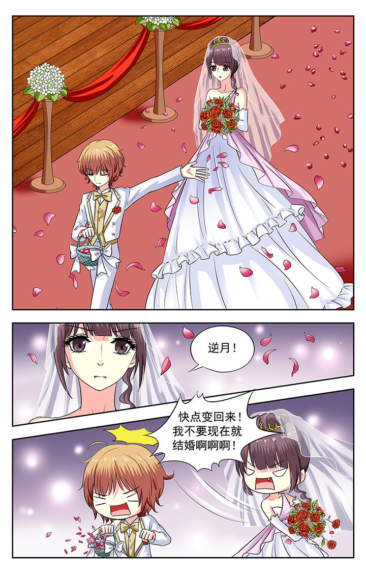 我的男神白月光全集免费观看漫画,第171章：1图