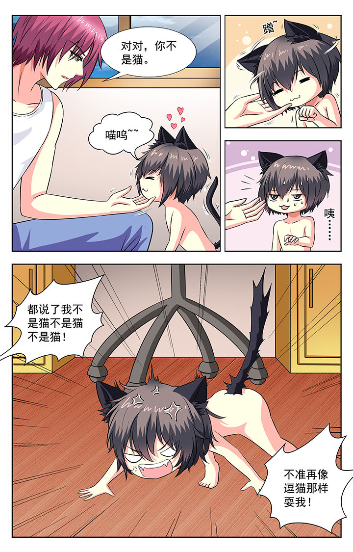 我的男神有点甜免费阅读漫画,第58章：1图