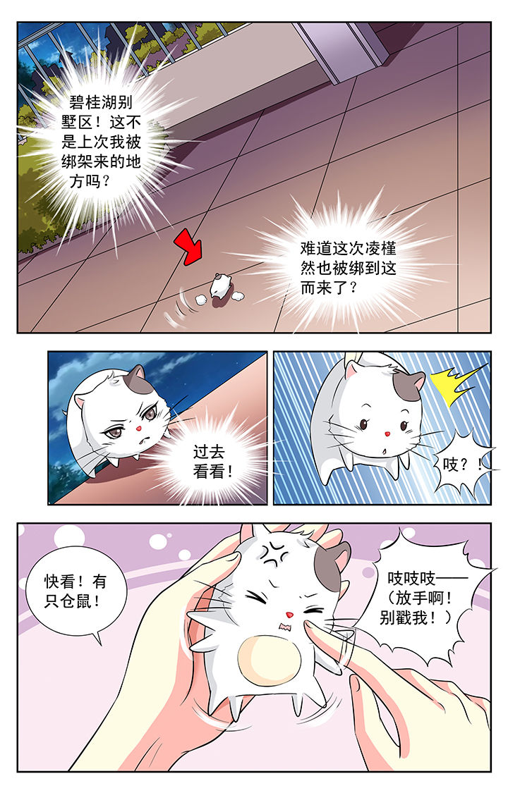 我的男神爹地合集漫画,第113章：2图